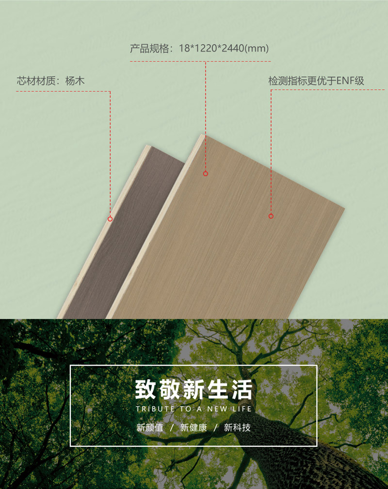 碳晶板生產廠家